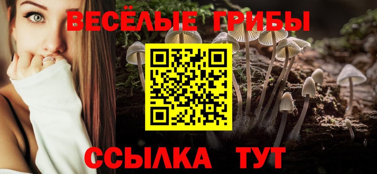 Галлюциногенные грибы Cubensis  Вход с VPN  Дальнереченск 
